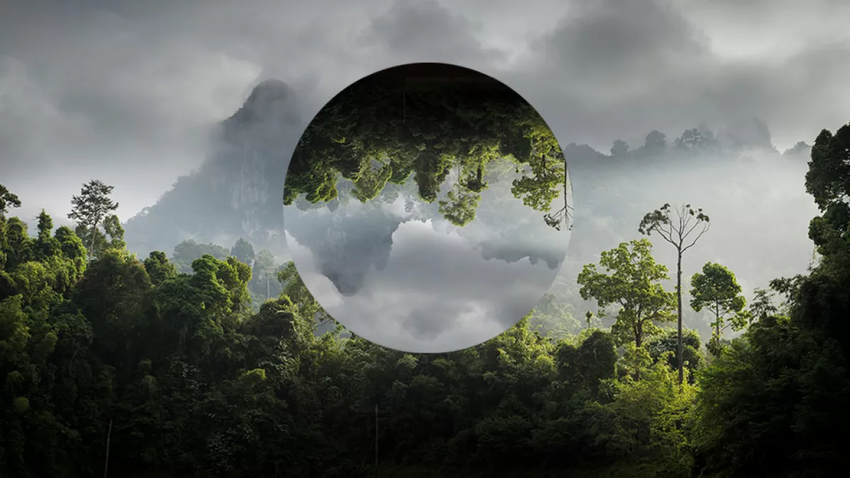 © Getty Images - Cultura Exclusive / Philip Lee Harvey ENVIRONNEMENT