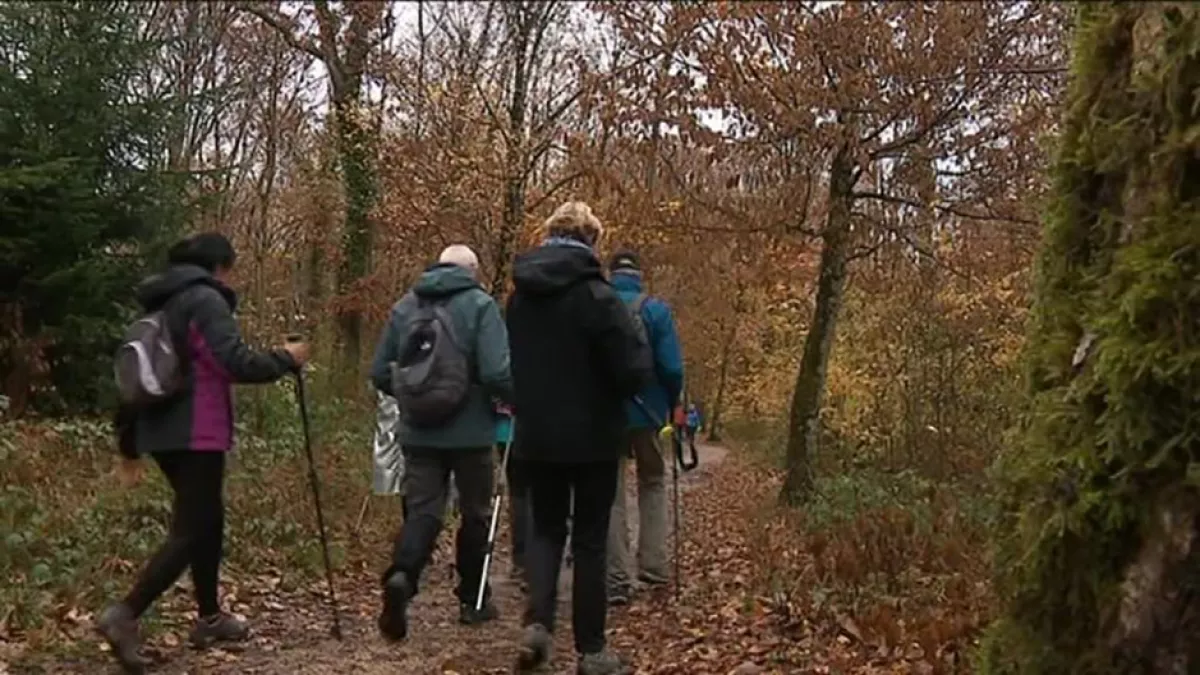 Randonneurs dans forêt©DenisColleFrance3FrancheComté Randonneurs dans forêt