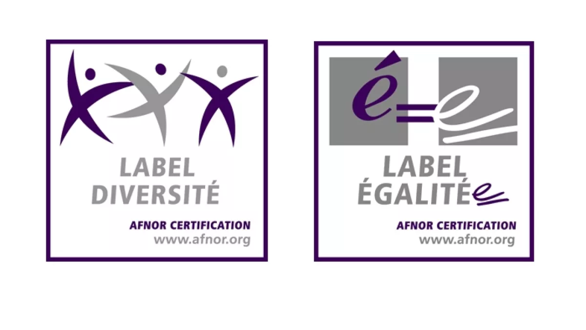 AFNOR Certification Label Egalité Professionnelle et Label Diversité AFNOR Certification Label Egalité Professionnelle et Label Diversité