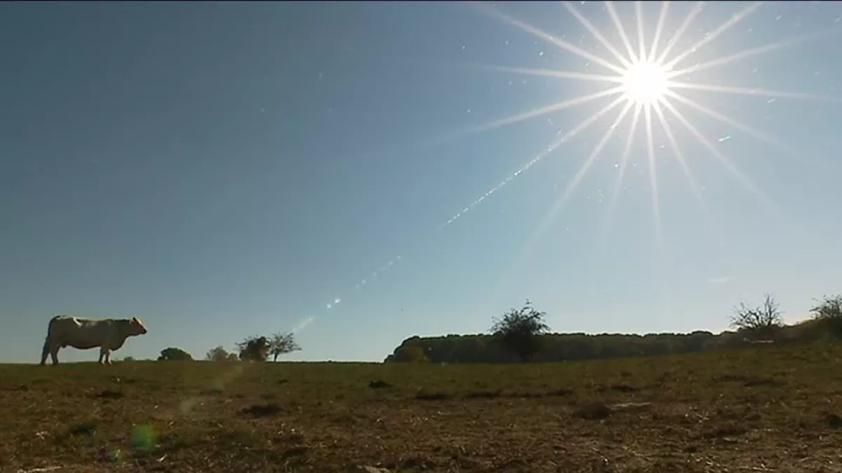 image de campagne©F3FC campagne