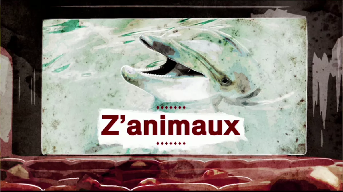 ©France 3 Côte d'Azur Z'animaux