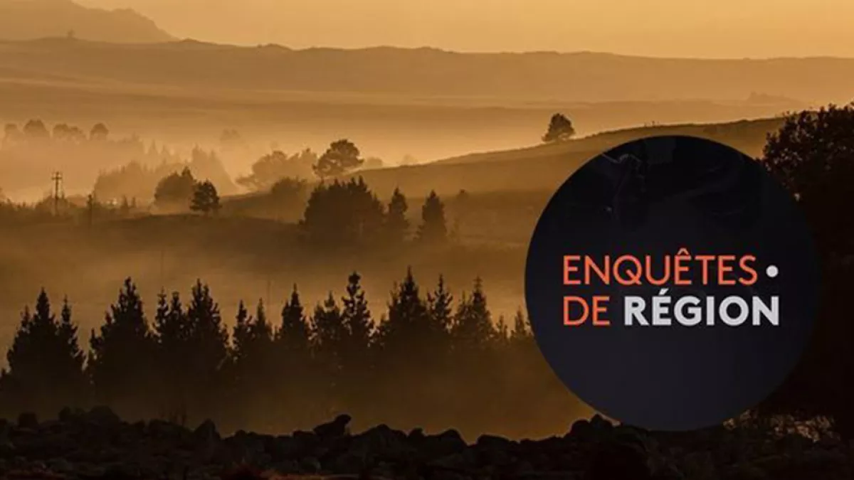 Enquêtes de région Enquêtes de région