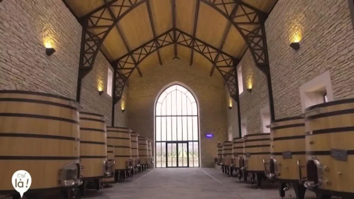 Cuverie Domaine  Faiveley Nuits-Saint-Georges