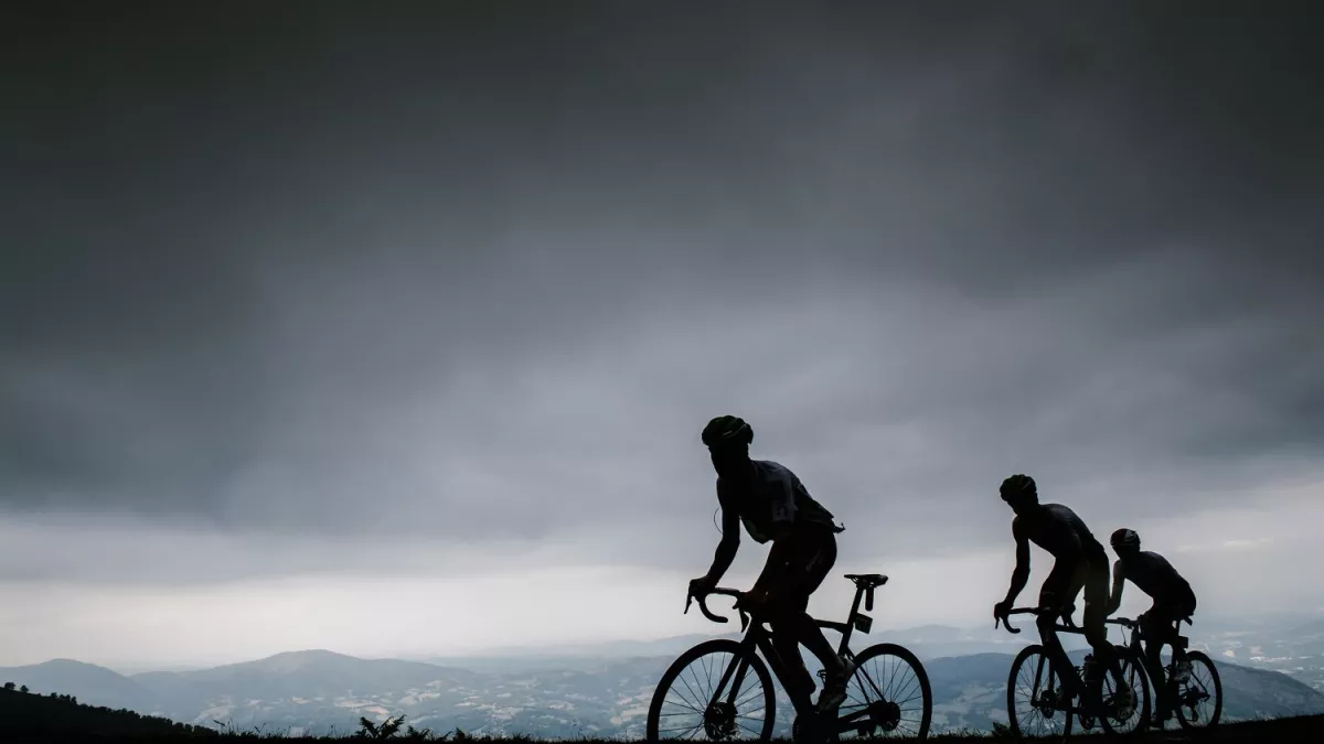 TDF 2019 TDF 2019