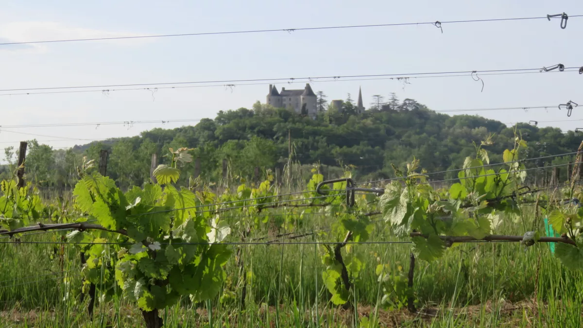 Le château de Buzet Le château de Buzet