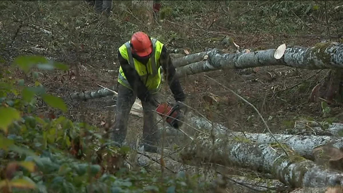 © Jean-Stéphane Maurice / France 3 Franche-Comté © Jean-Stéphane Maurice / France 3 Franche-Comté