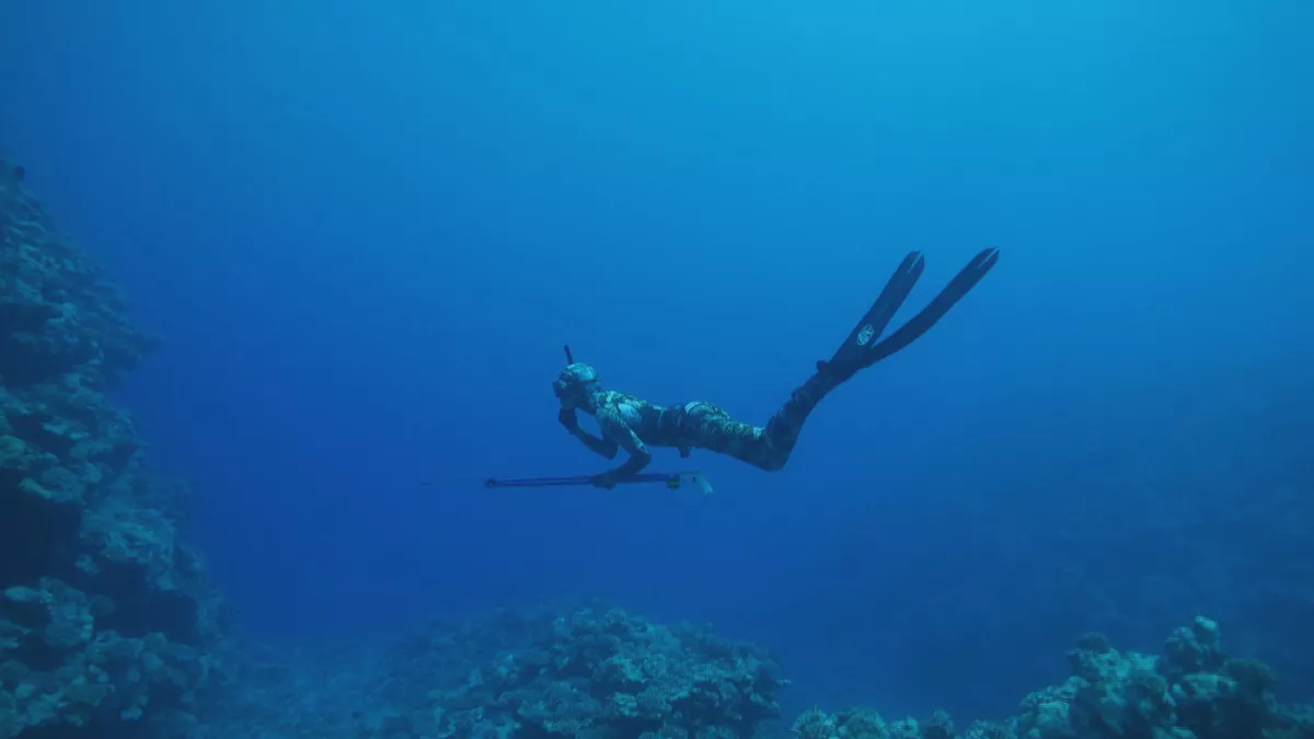 ©Grand angle - Ecrans du monde 3 NUANCES DE BLEU - PACIFIQUE, UN OCÉAN NOURRICIER