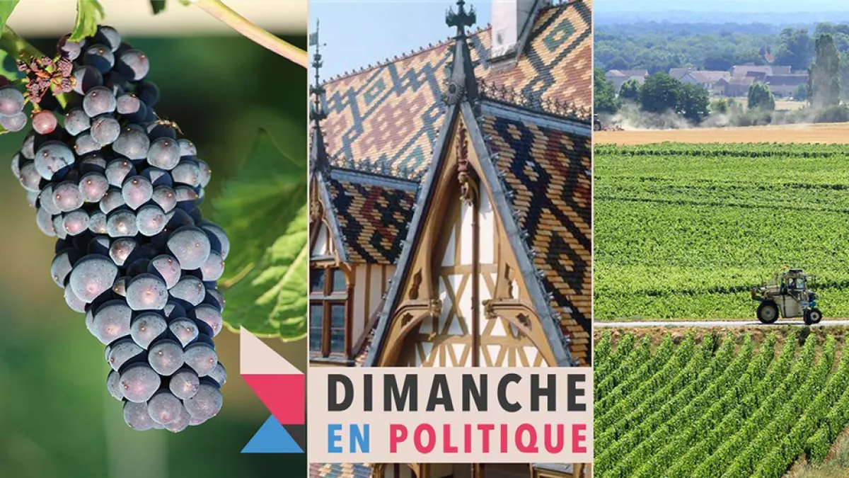 ©France 3 Bourgogne Dimanche en politique