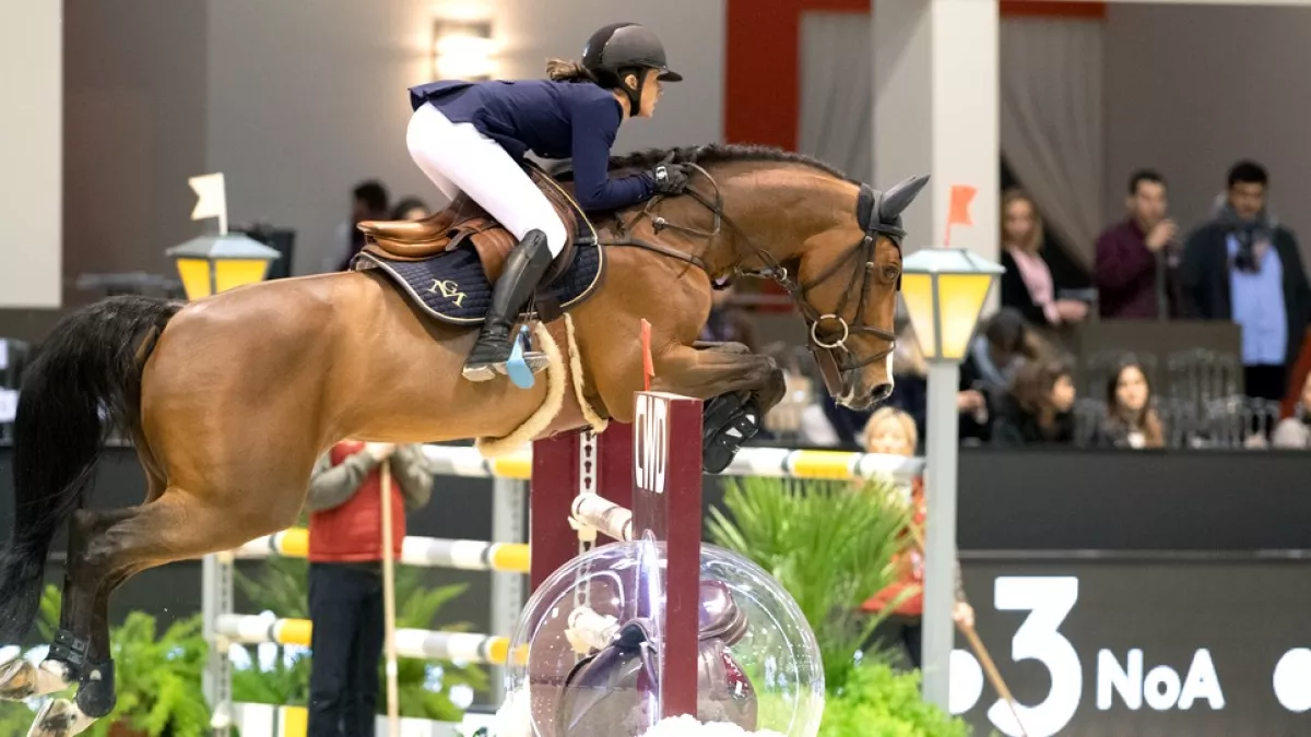 Jumping de Bordeaux Jumping de Bordeaux