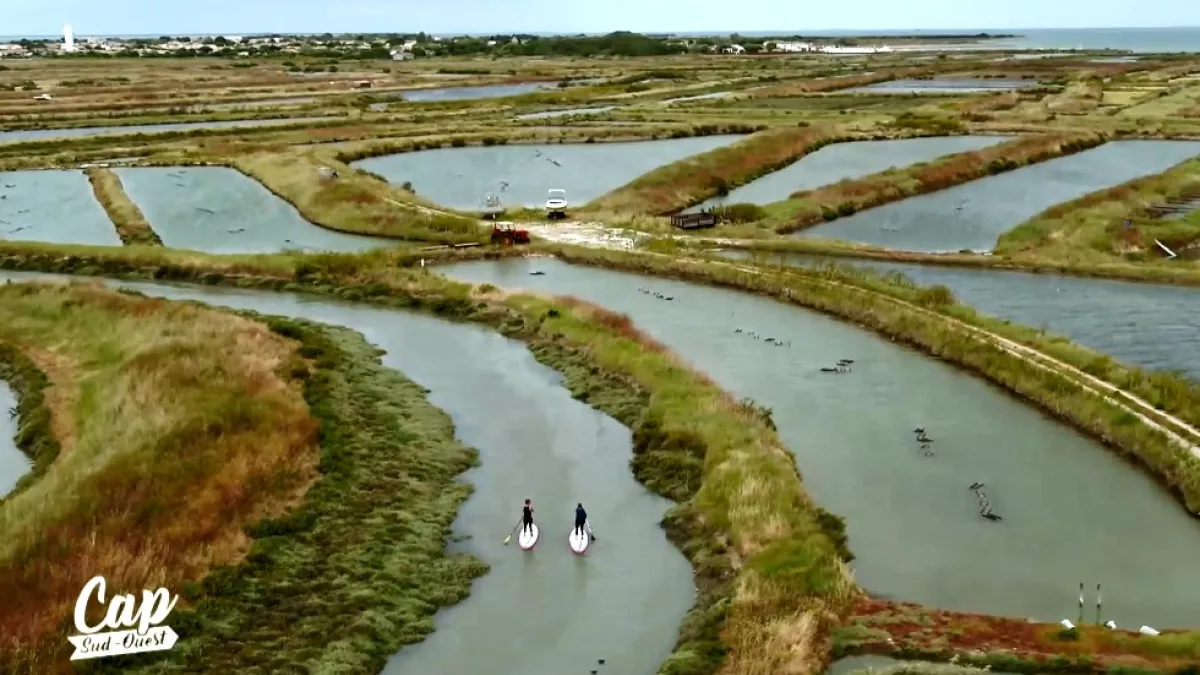 Ile de Ré Ile de Ré