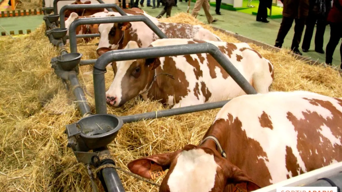 Salon de l'agriculture Salon de l'agriculture