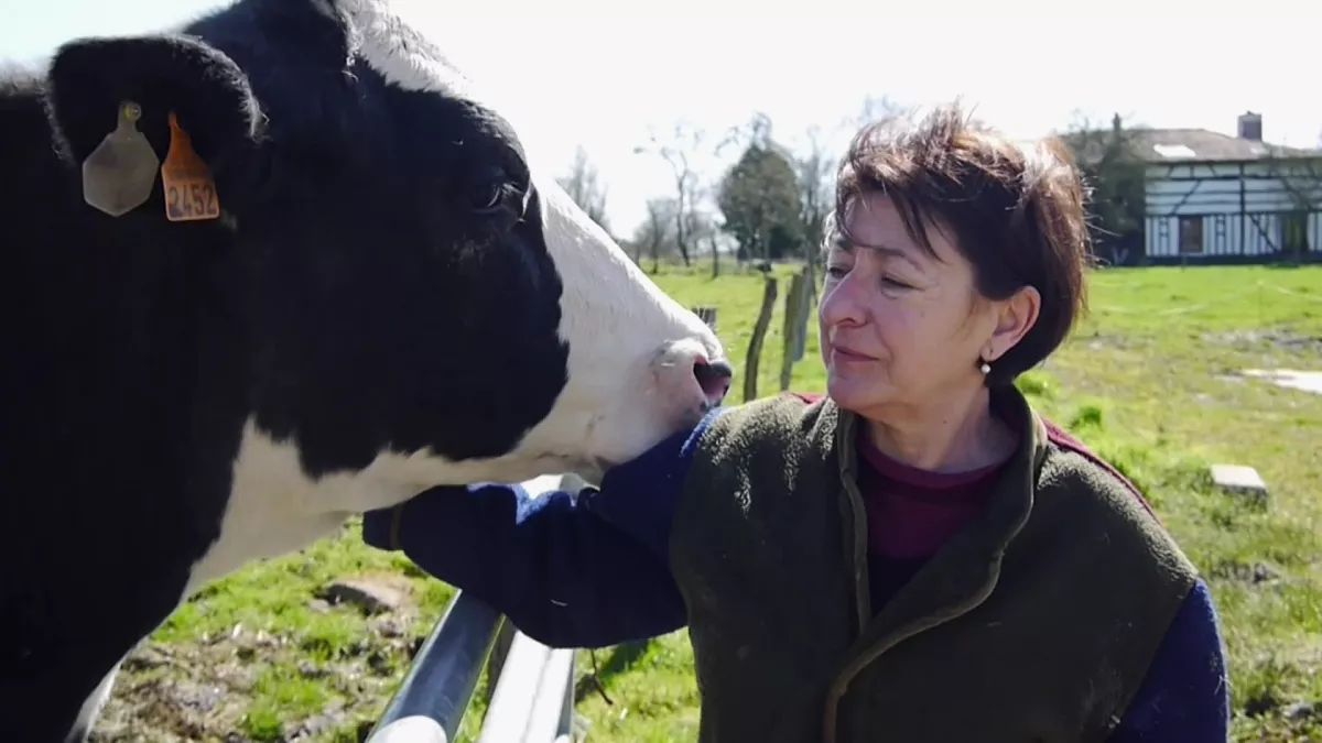 Les vaches n'auront plus de nom CREDIT Douk douk productions Les vaches n'auront plus de nom CREDIT Douk douk productions