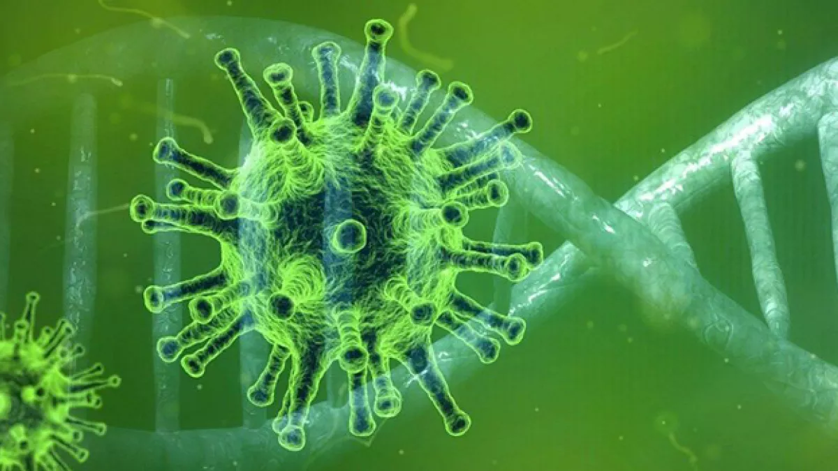 Coronavirus @pixabay