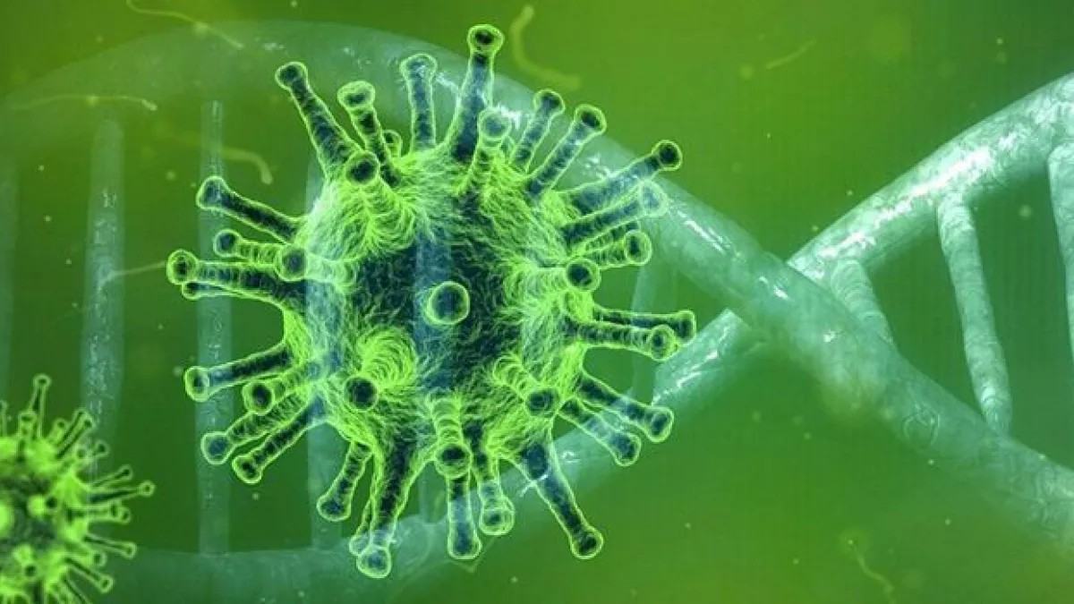 Coronavirus Coronavirus
