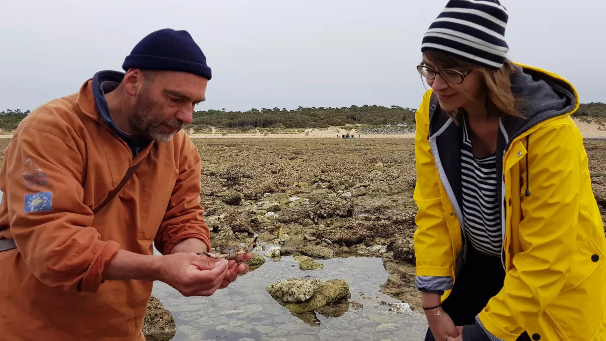 A la pêche à pieds A la pêche à pieds