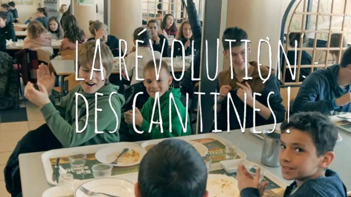cantine canrtine
