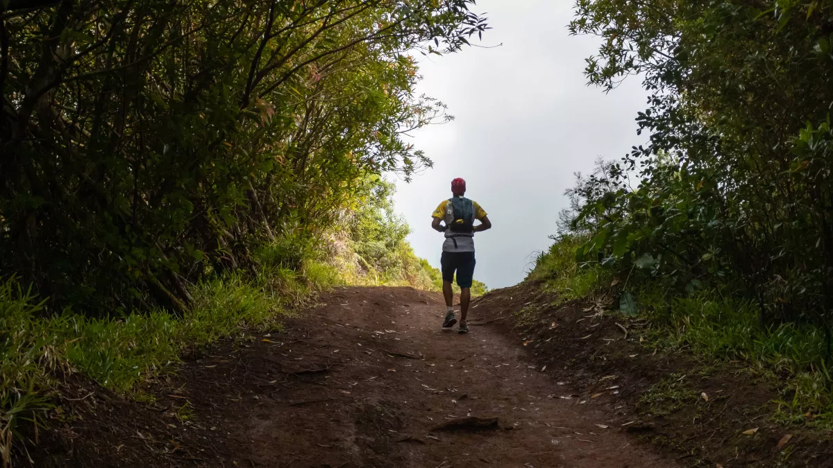 LES PLUS BEAUX TREKS : LA TRAVERSÉE DE LA RÉUNION LES PLUS BEAUX TREKS : LA TRAVERSÉE DE LA RÉUNION