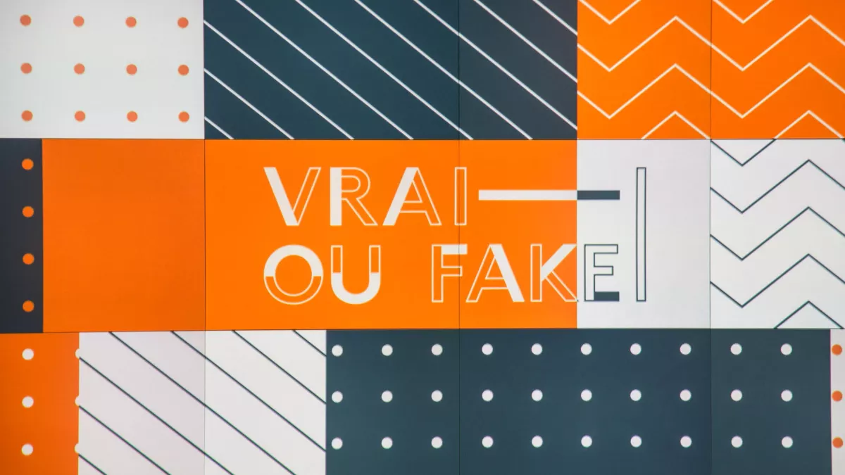 VRAI OU FAKE