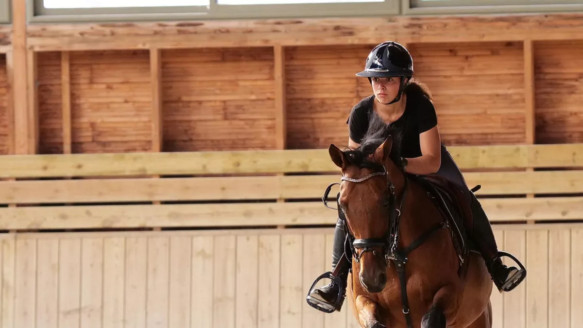 Gilles Gustine/ France 4 AU GALOP !