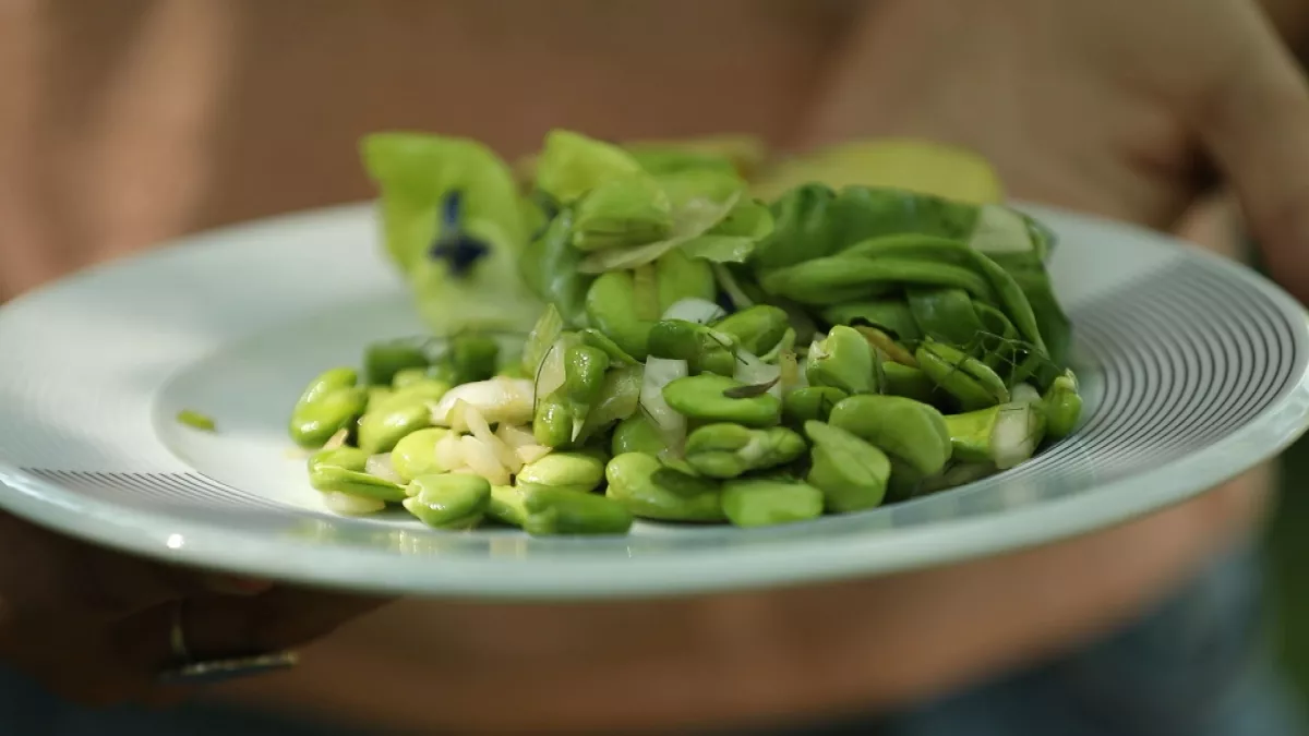 Une salade de fèves solidaire à Saint-Julien-l'Ars Une salade de fèves solidaire à Saint-Julien-l'Ars