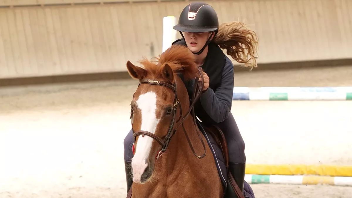 Au galop ! Au galop !