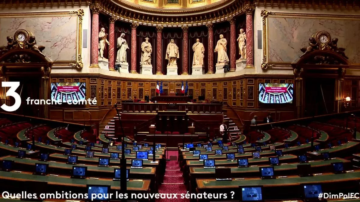 senat senat