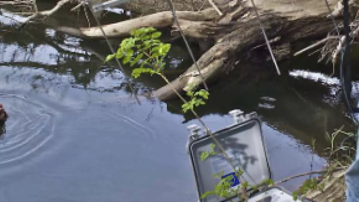 Lanceurs d'alerte Lanceurs d'alerte