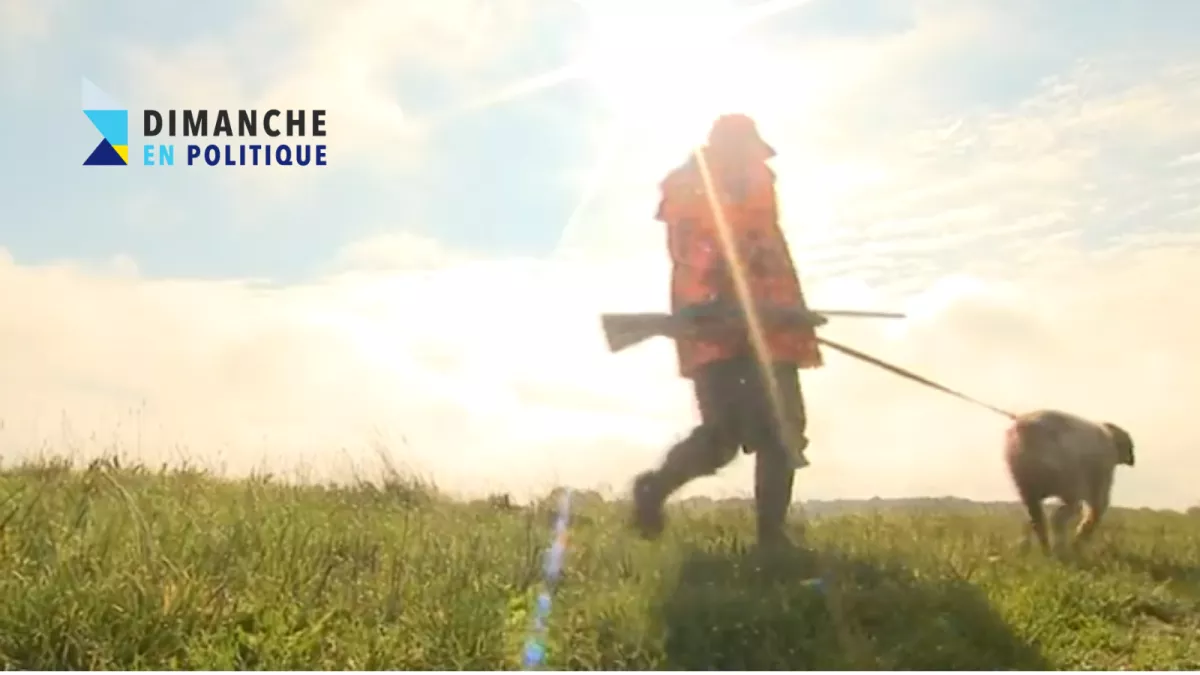Chasse - France Télévisions Chasse - France Télévisions