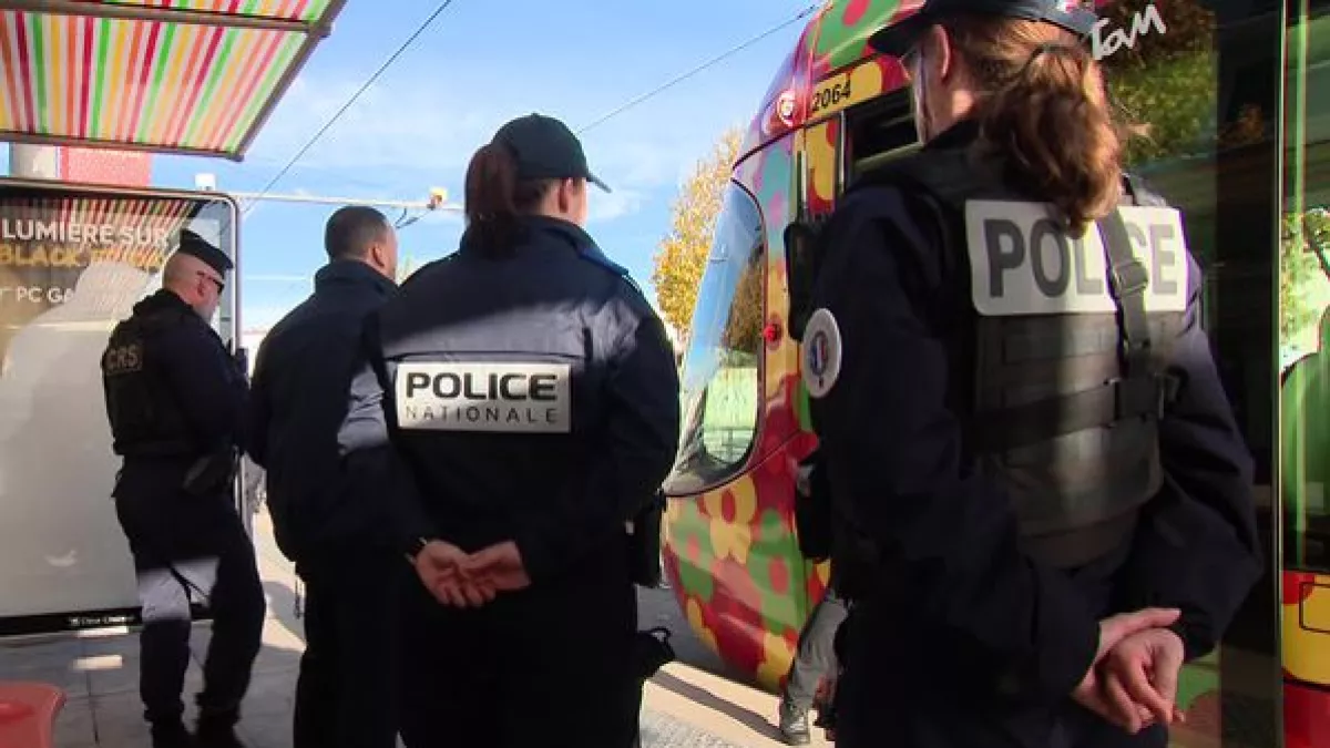 Enquêtes de région Occitanie