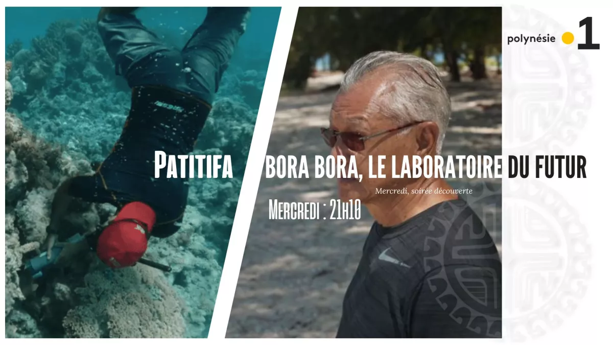 BORA BORA, le laboratoire du futur .jpg