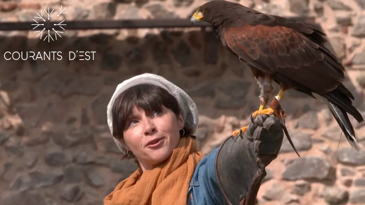 Courants d'Est - Ils sont forts ces châteaux - SOURCE FTV Courants d'Est - Ils sont forts ces châteaux - SOURCE FTV