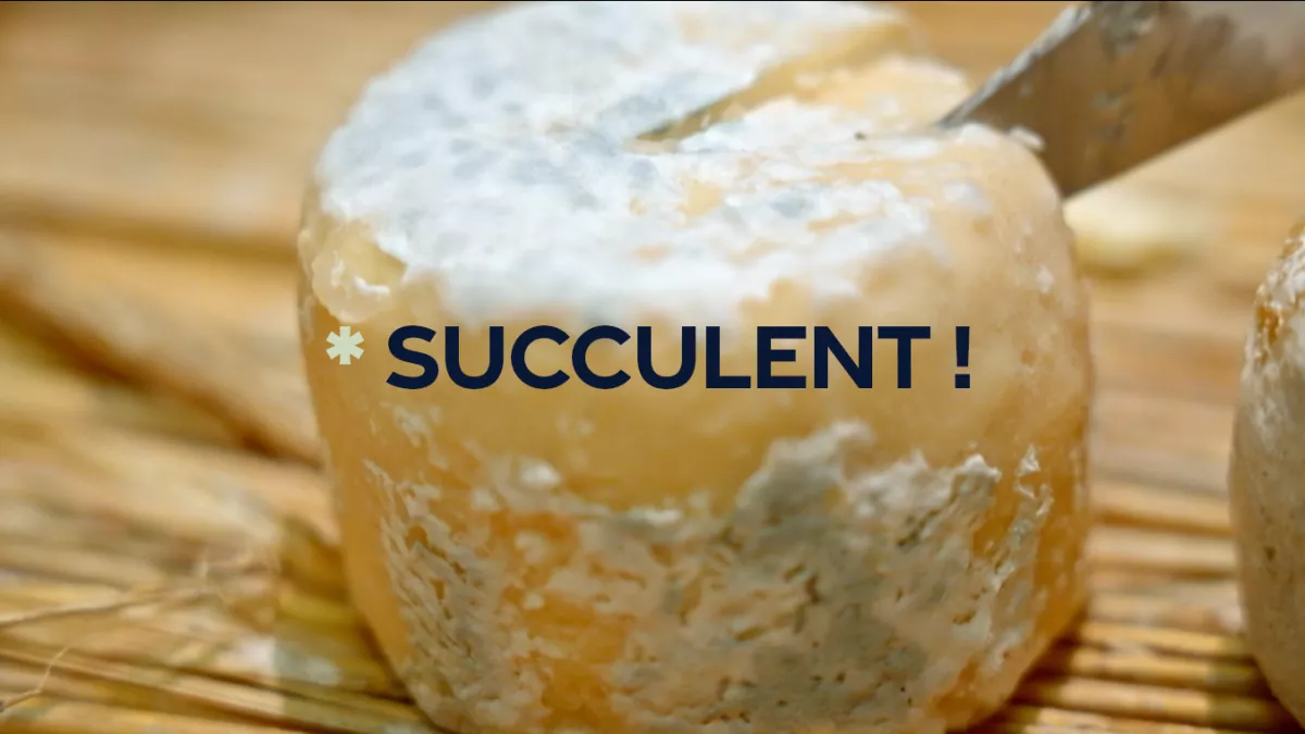 Succulent ! - Le crottin de Chavignol - CREDIT FTV Crottin de Chavignol coupé