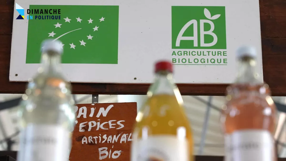 Produits issus de l'agriculture biologique