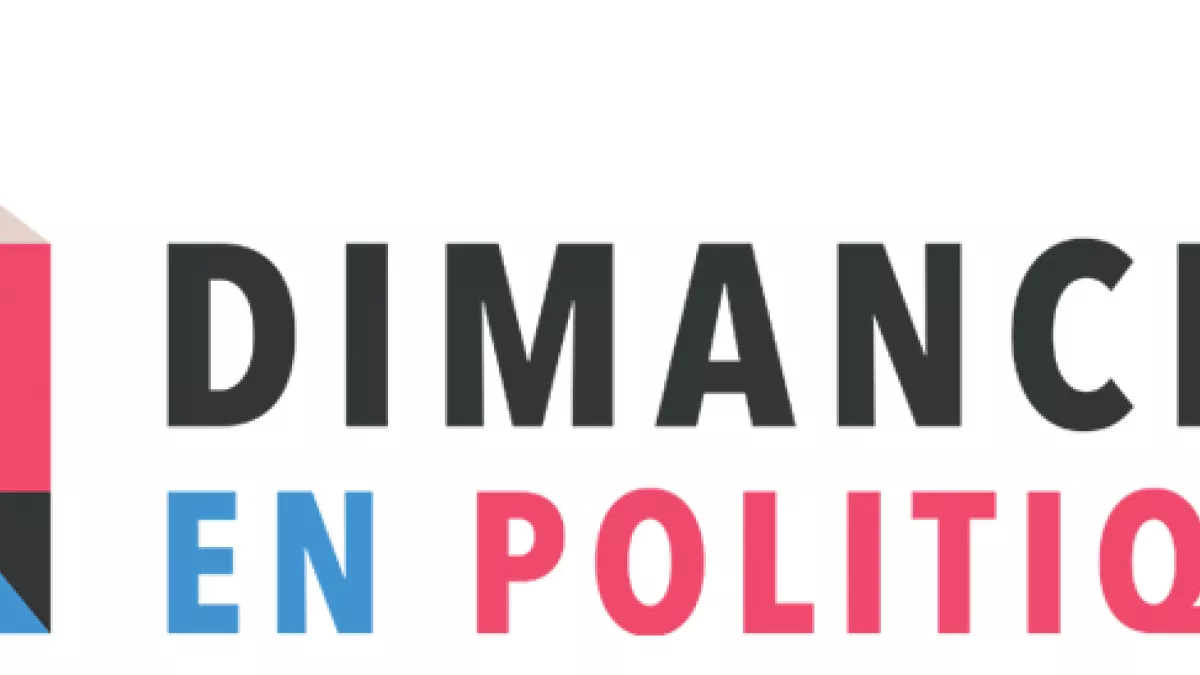 Logo Dimanche en politique