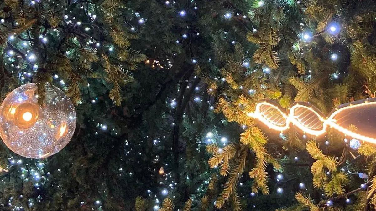 Un Noêl en toute sobriété © Anne Peiffer - FTV Décorations dans un sapin