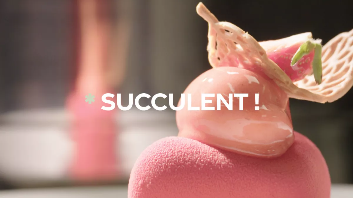 Succulent ! - La fraise - CREDIT FTV Succulent ! - La fraise - CREDIT FTV