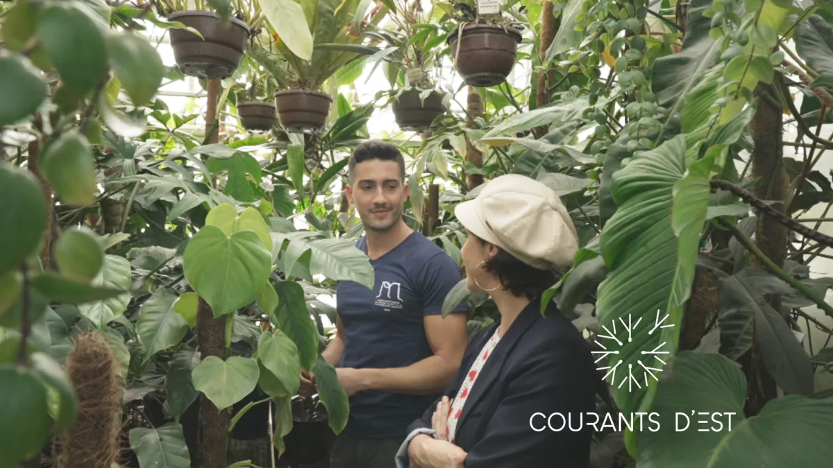 Courants d'Est - Le jardin botanique de Jean-Marie Pelt - crédit FTV Courants d'Est - Le jardin botanique de Jean-Marie Pelt - crédit FTV