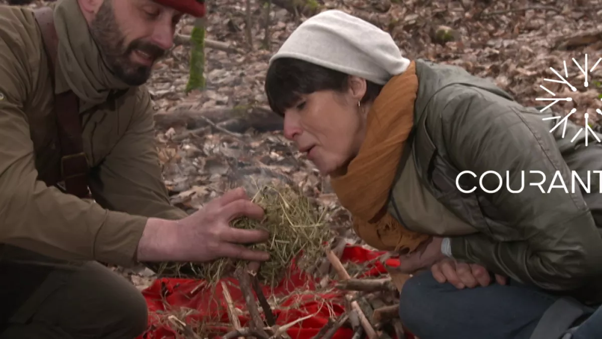 COURANTS DEST Les secrets de nos forêts COURANTS DEST Les secrets de nos forêts