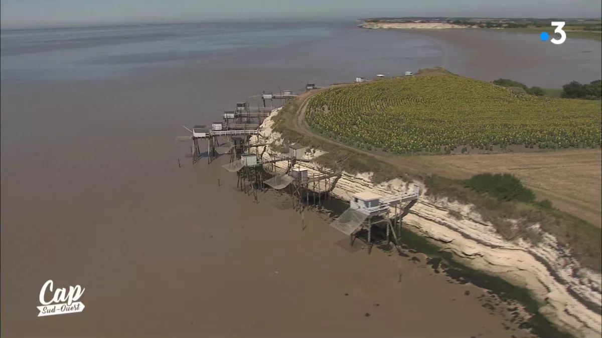 Cap Sud Ouest Charente-Maritime CSO 174