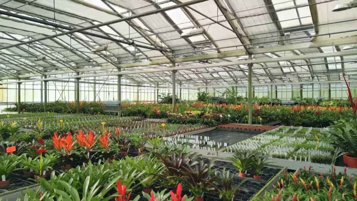 jardinage