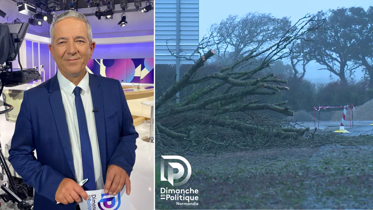 DEP 10 novembre 2024