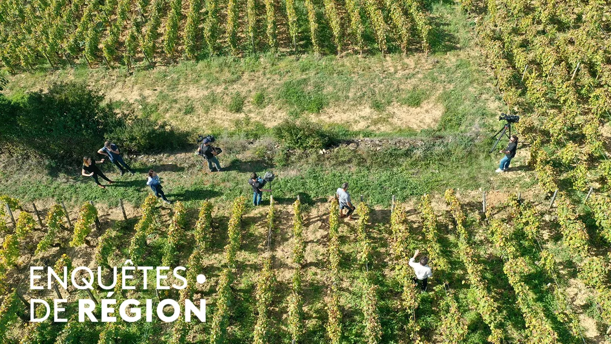 Biodiversité : quelle nature pour demain ? Biodiversité : quelle nature pour demain ?