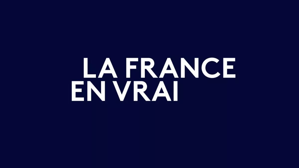 LOGO LA FRANCE EN VRAI LOGO LFEV