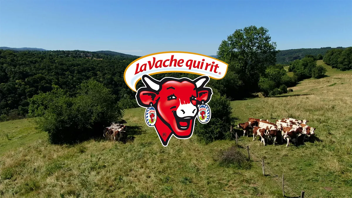 L'histoire d'une vache qui rit L'histoire d'une vache qui rit