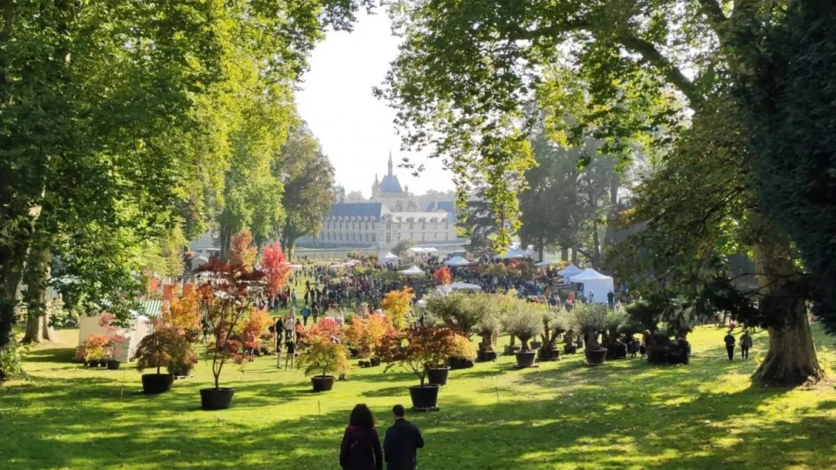 LES JARDINS DE CHANTILLY