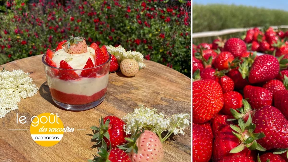 LGDR tiramisu aux fraises