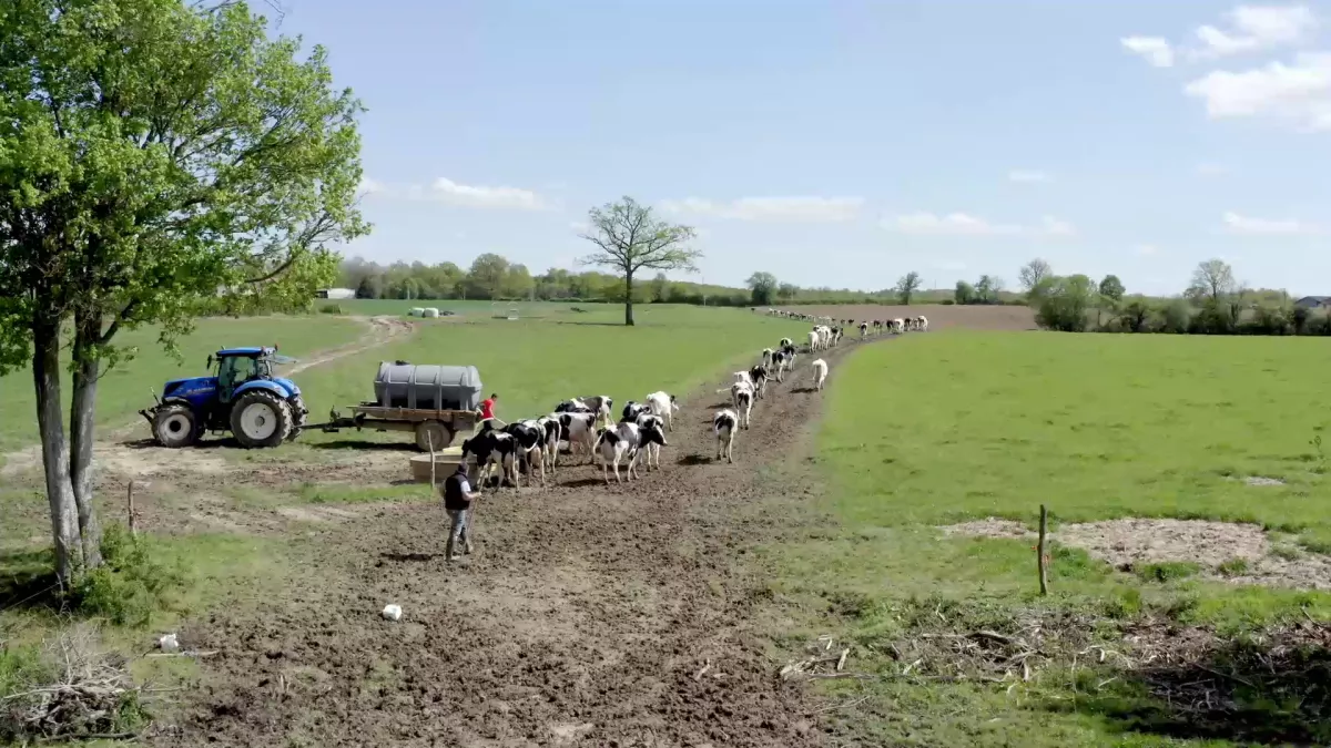 Le sens de la terre Le sens de la terre