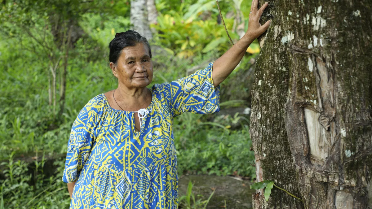 Mamie Julie_Plantes médicinales_Fatu Hiva_En Terre Indigène © En Terre Indigène DE LA MERE A LA TERRE EN OUTRE-MER © En Terre Indigène