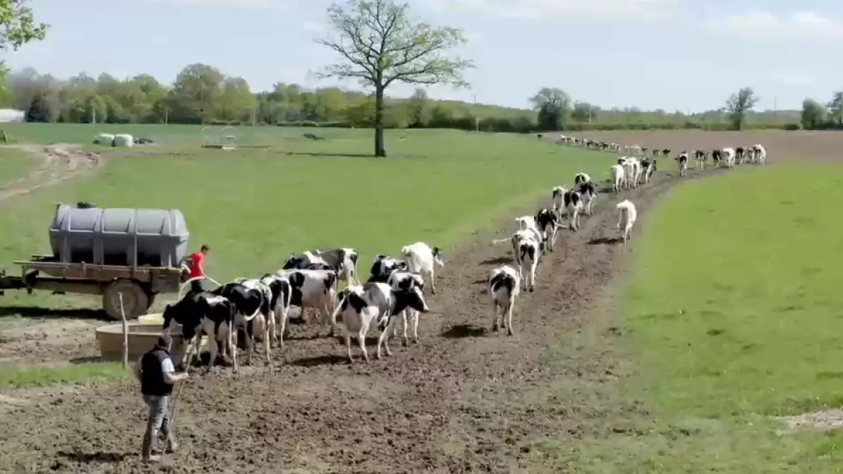 Le sens de la terre Le sens de la terre