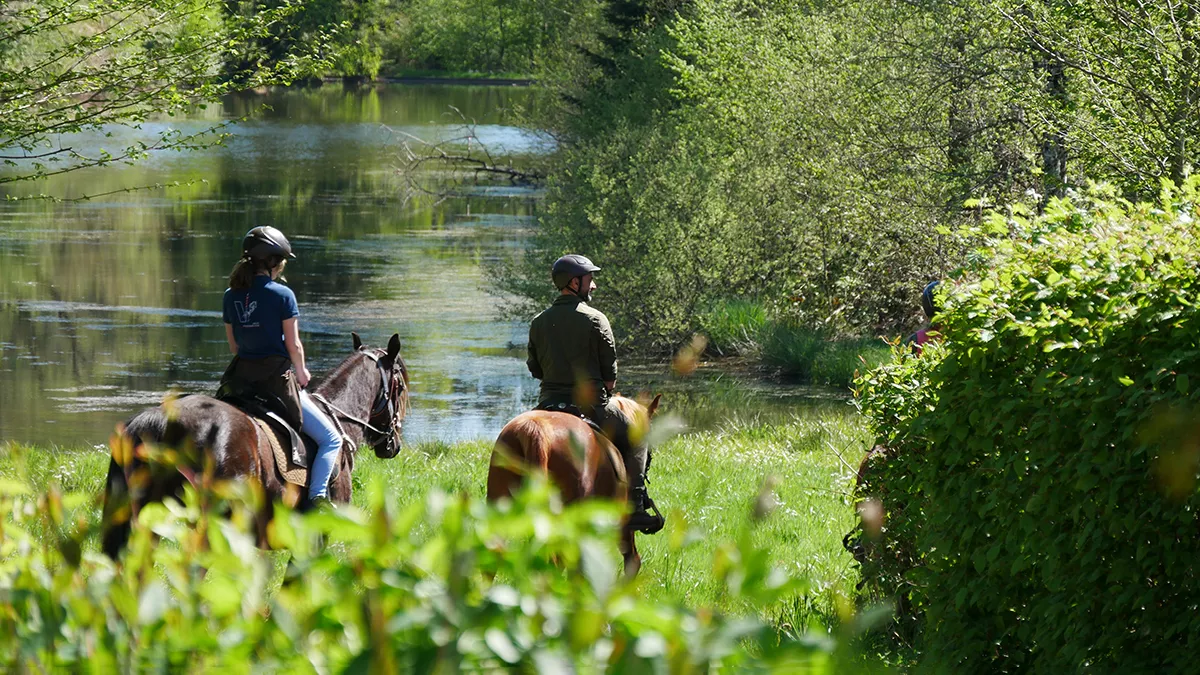 ETA mille etangs cavaliers au bord des mille etangs haute saone